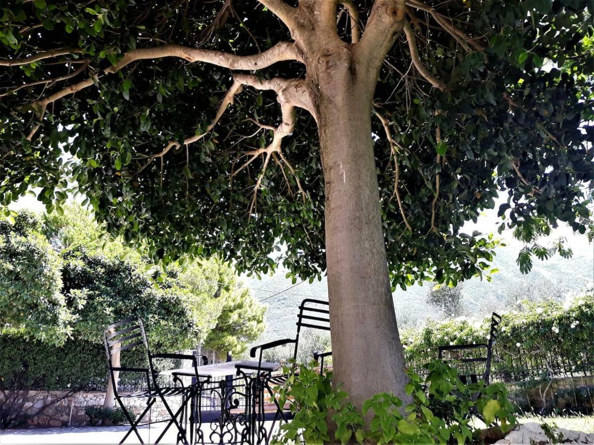 Luxury Country House In Kalamata / Sp Ngoại thất bức ảnh